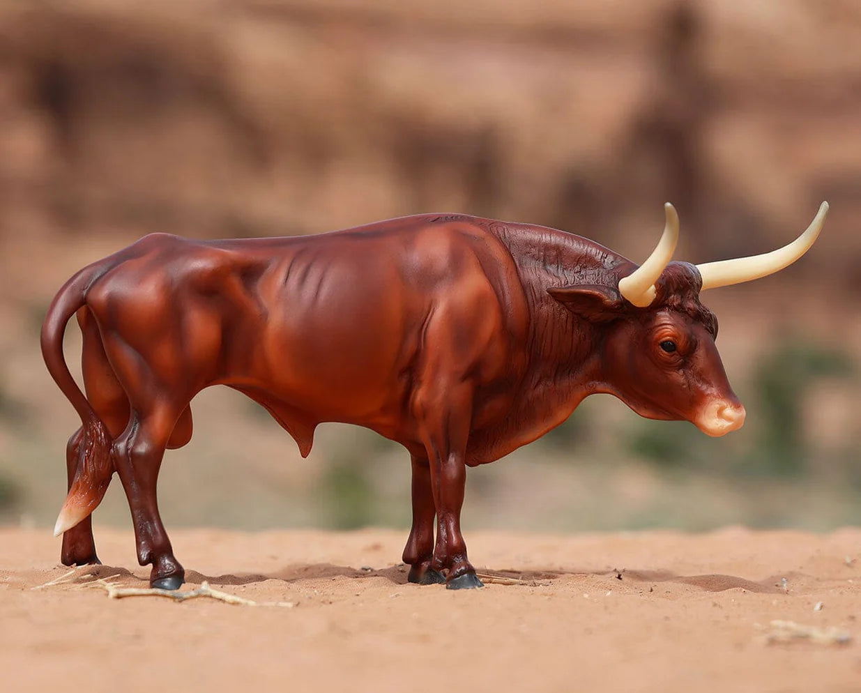 Longhorn Texas Bull