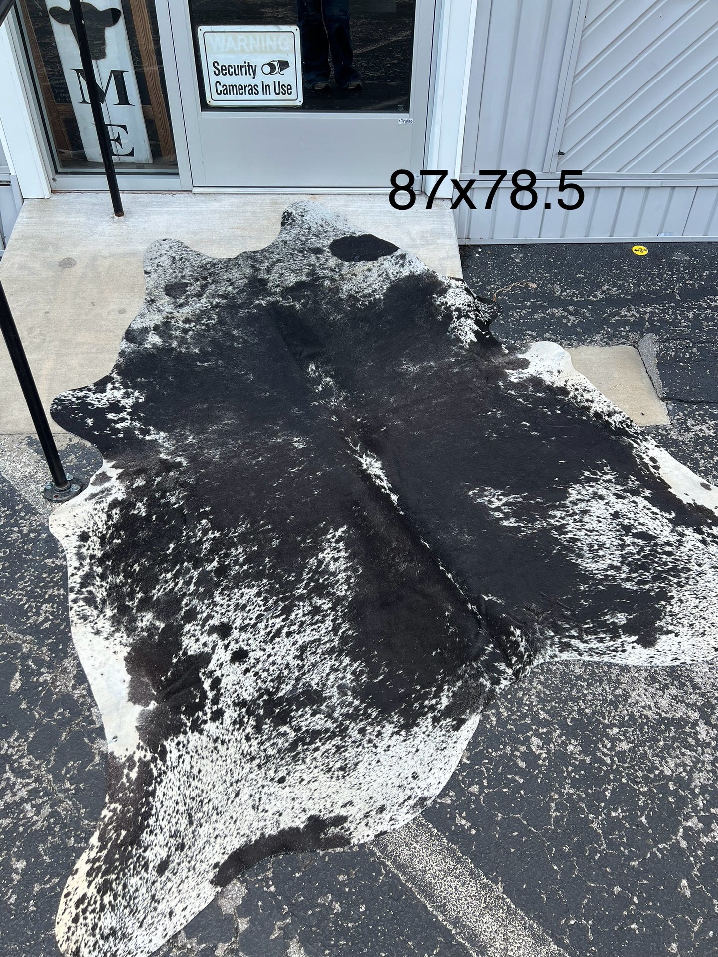 D Exotic Salt & Pepper Jumbo Cowhide Rug