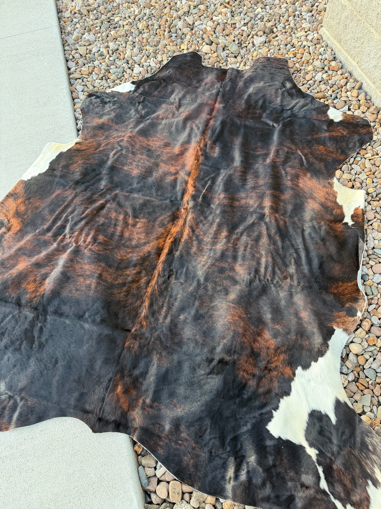 A large natural cowhide rug with a mottled pattern of black, dark brown, and rusty orange, laid out on a bed of small gray gravel next to concrete pavers.