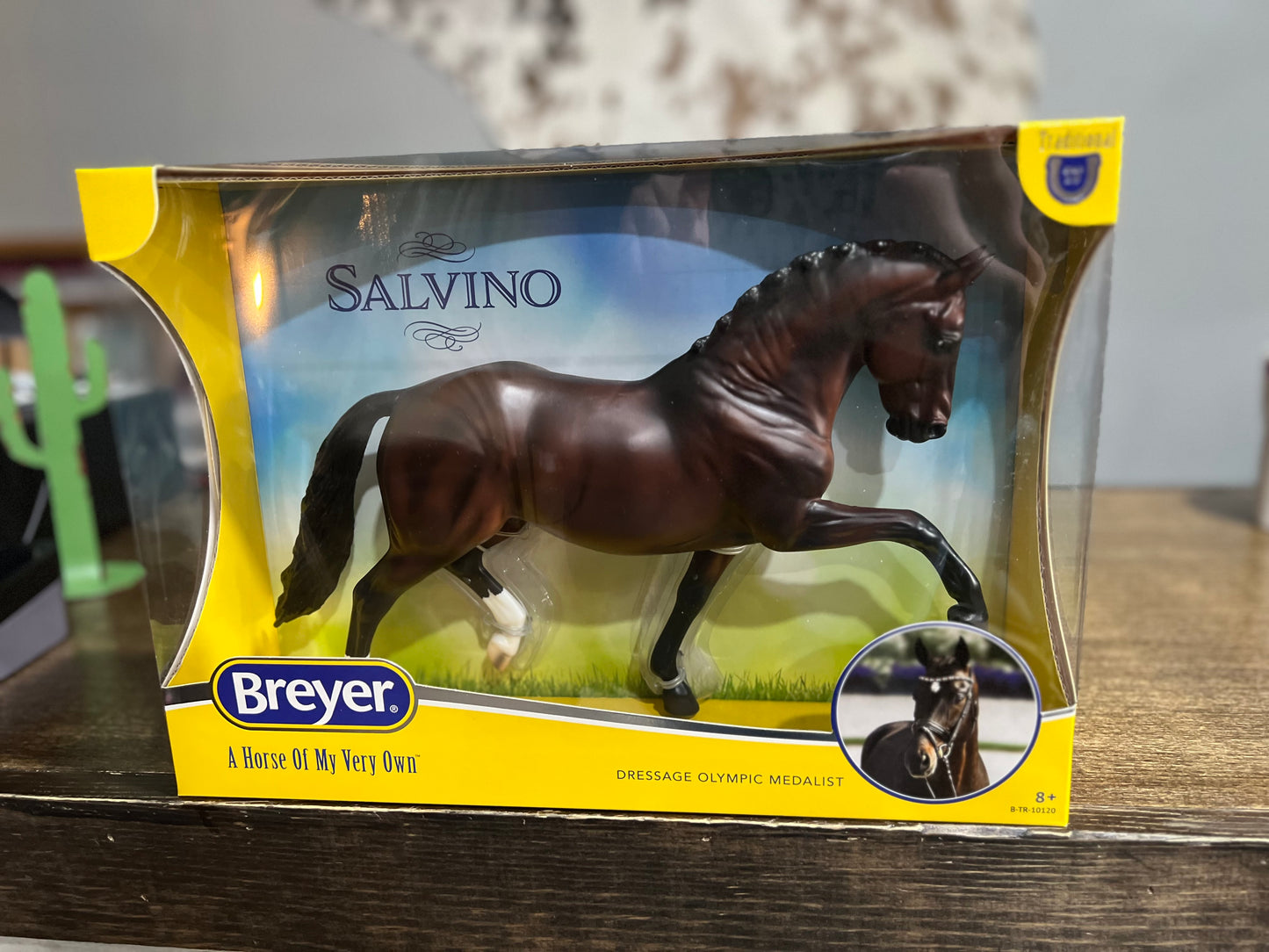 Salvino Dressage