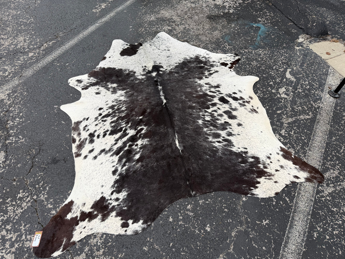 Cookies Cowhide Salt & Pepper Rug