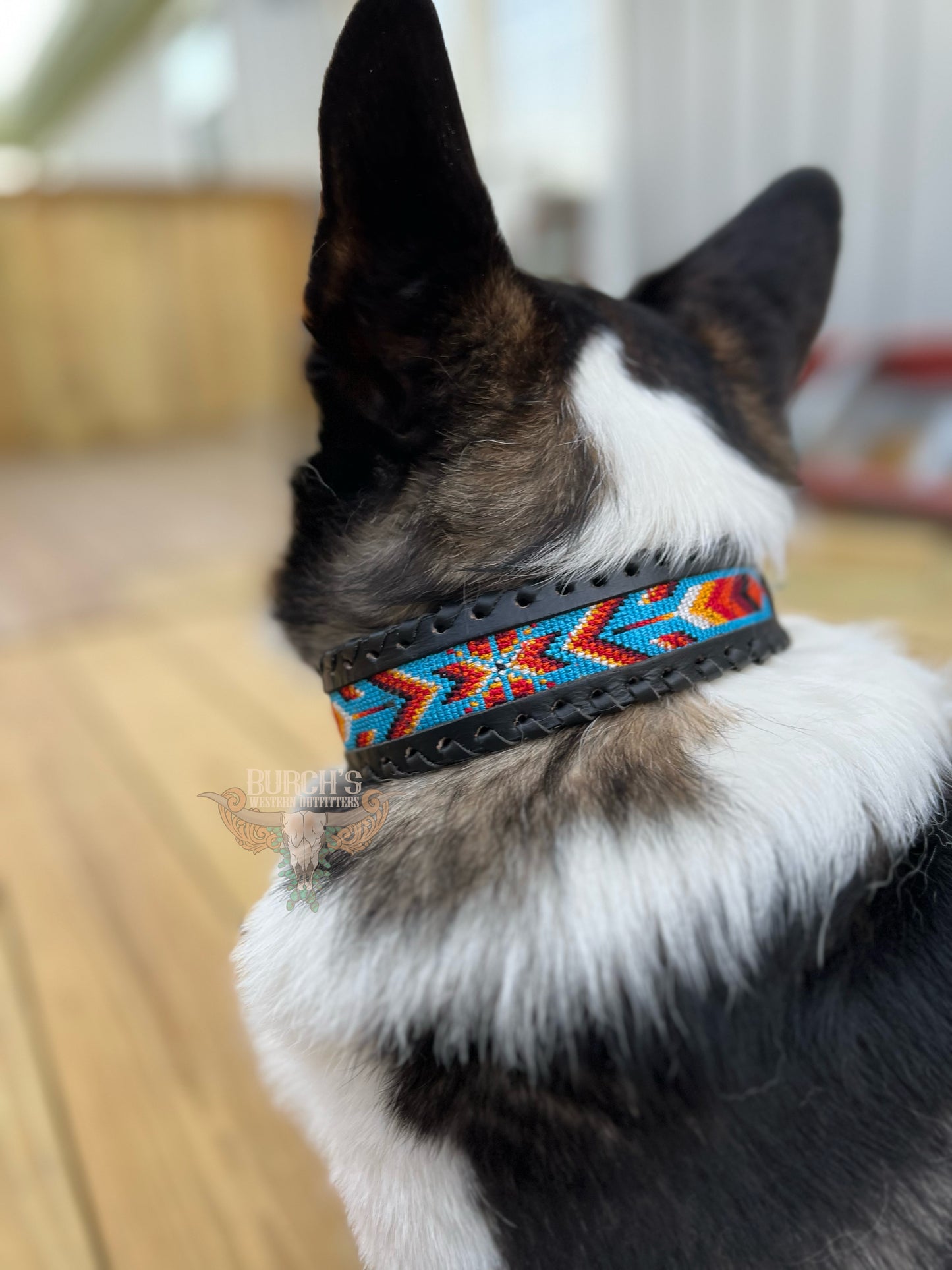 Running Wind Faux Beaded Dog Collar