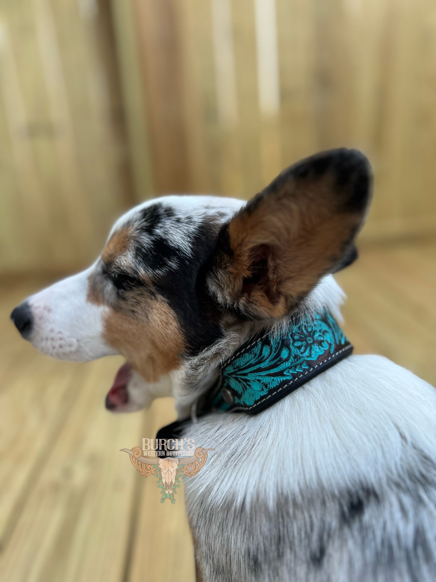 Tooled Turquoise Dog Collar