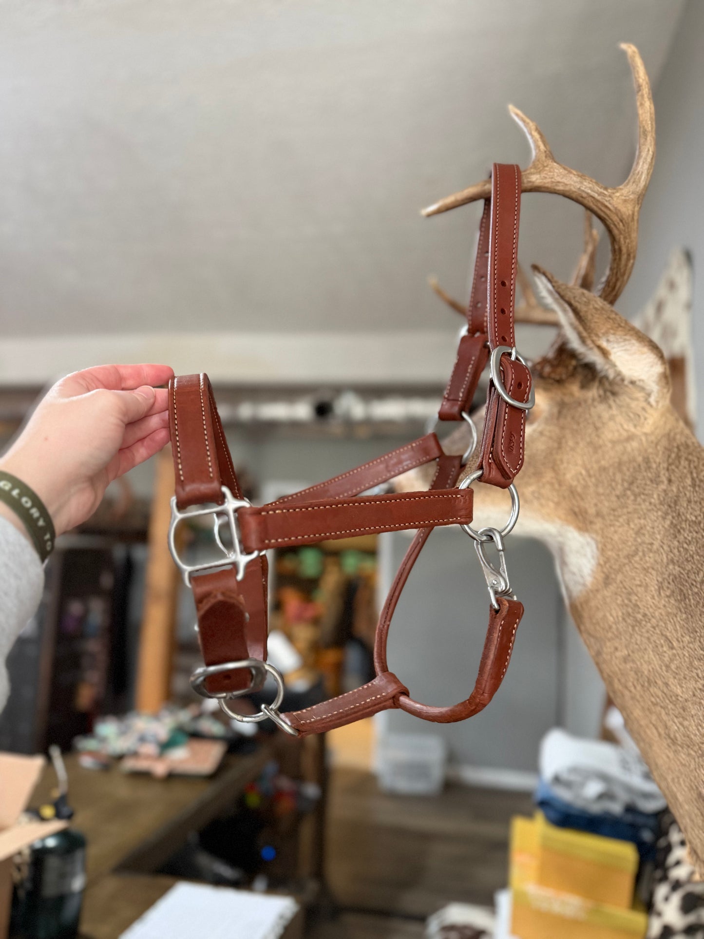 Brown Leather DFT Horse Halter