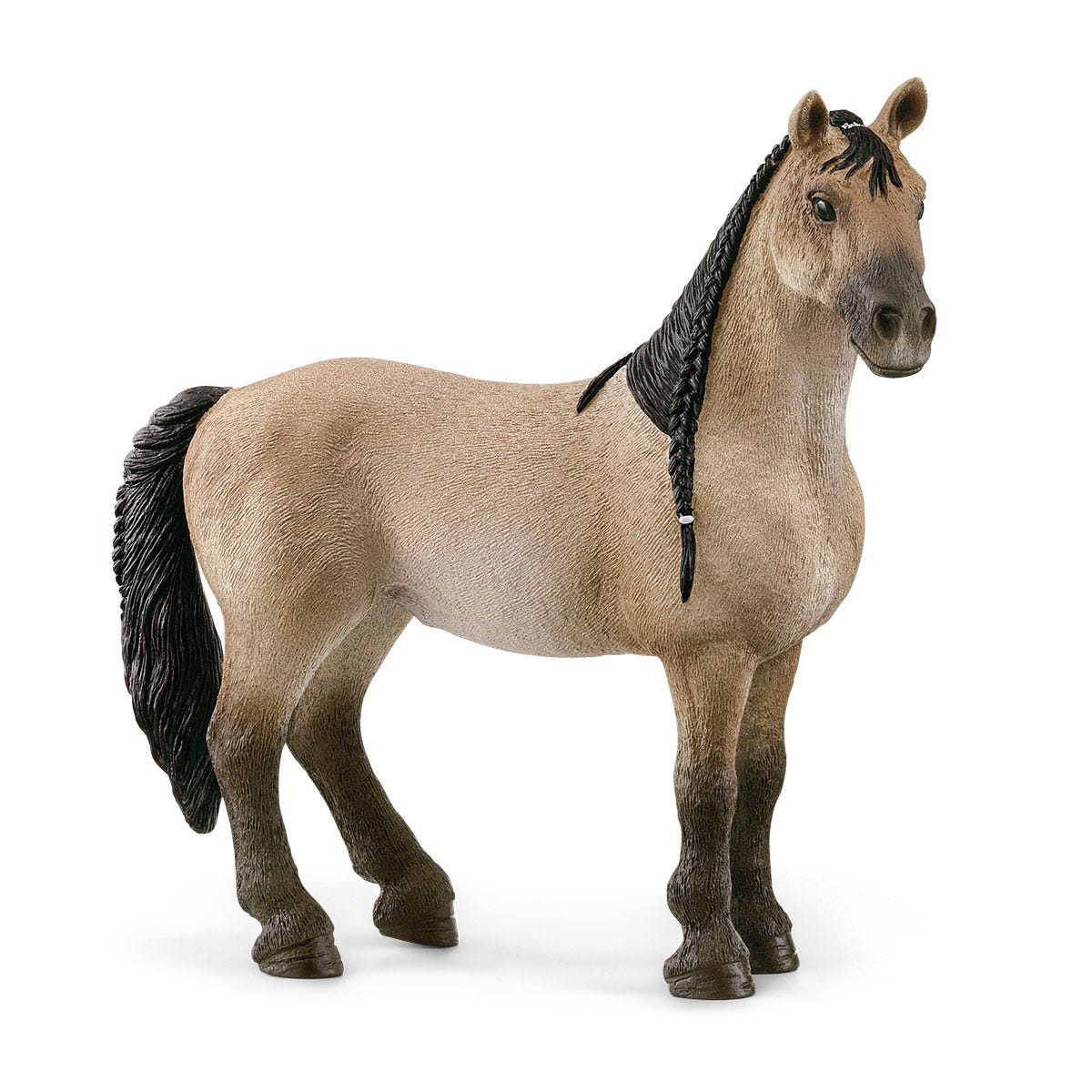 Criollo Mare