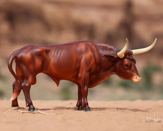Longhorn Texas Bull