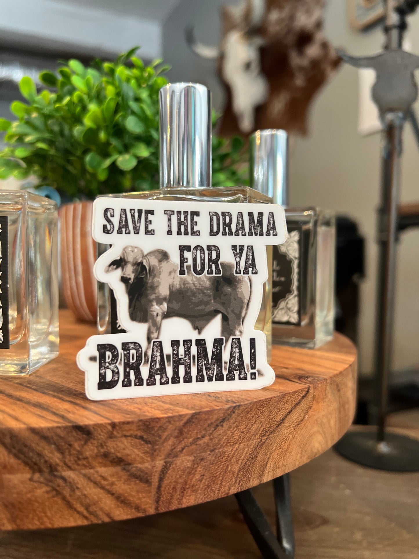 Drama Brahma Sticker