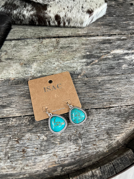 Lakota Turquoise Dangle Faux Earrings