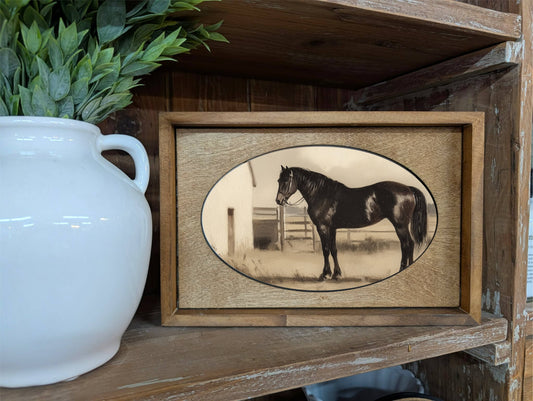 Box Framed Canvas Art Black Horse