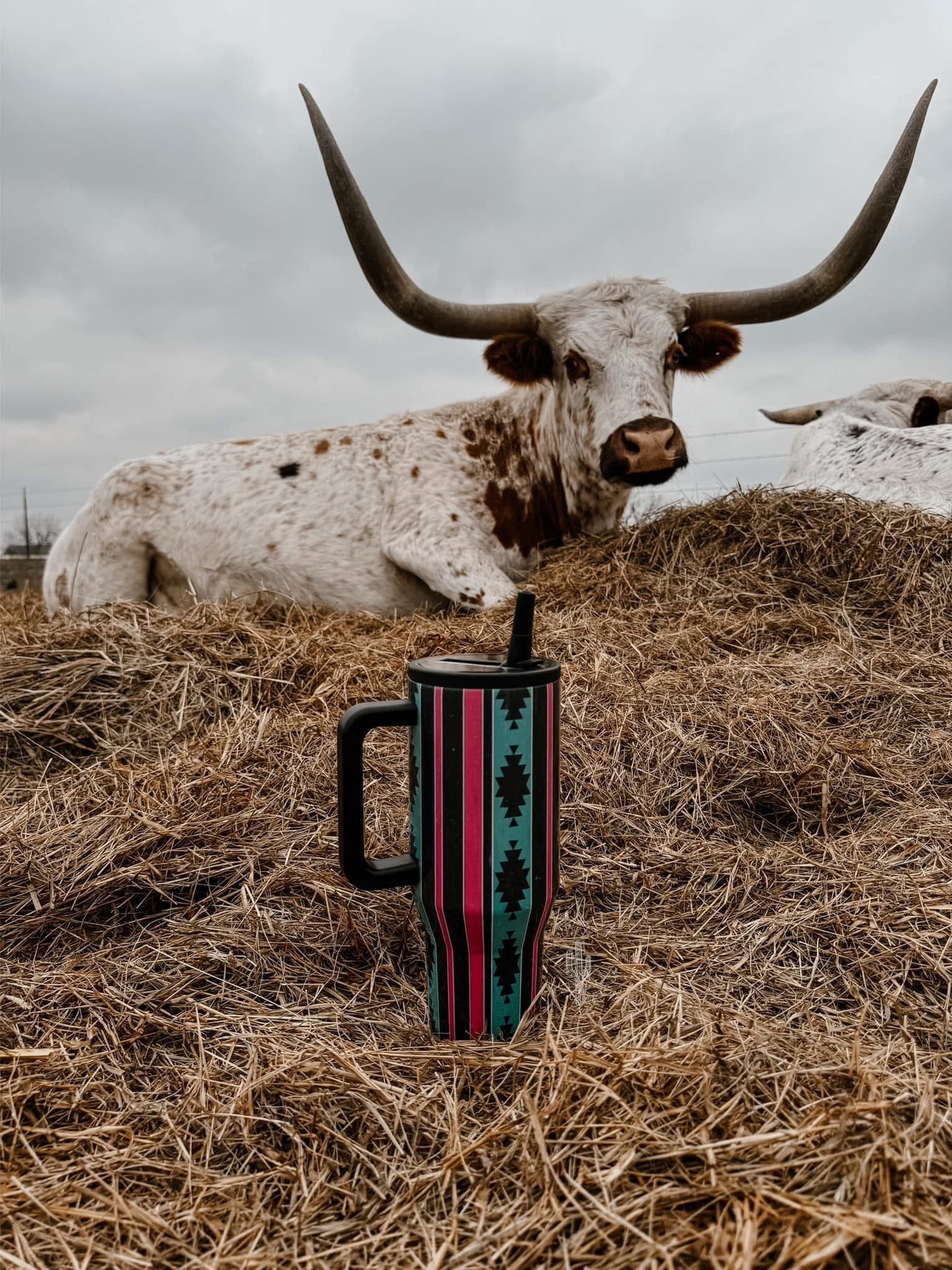 90’s Aztec Leakproof Tumbler