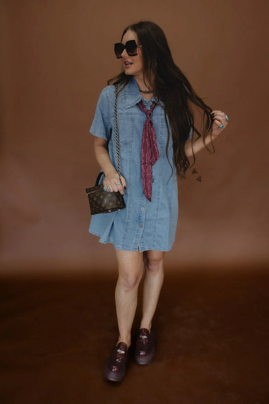 High Plains Denim Dress