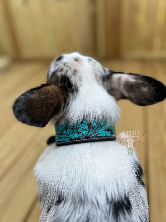 Tooled Turquoise Dog Collar