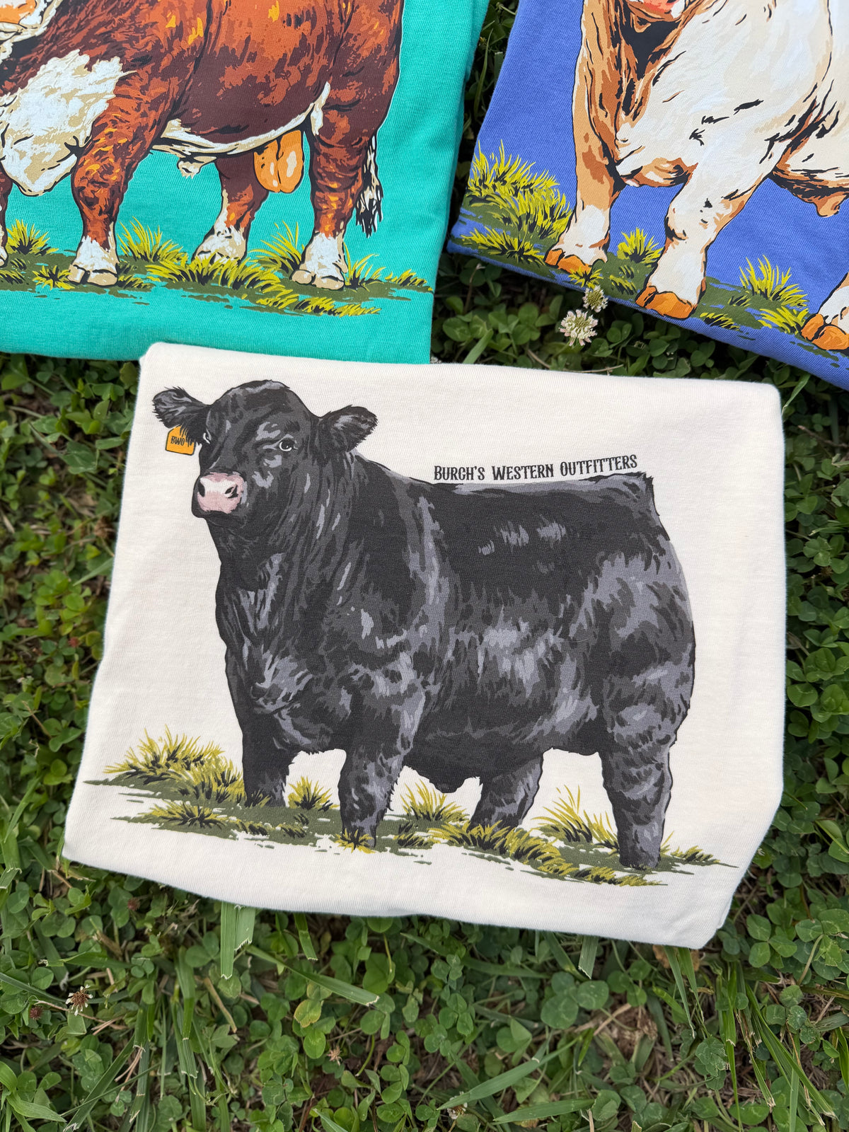 Ivory Angus Bull Tee