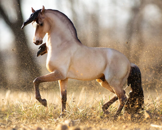 Cossaco Lusitano