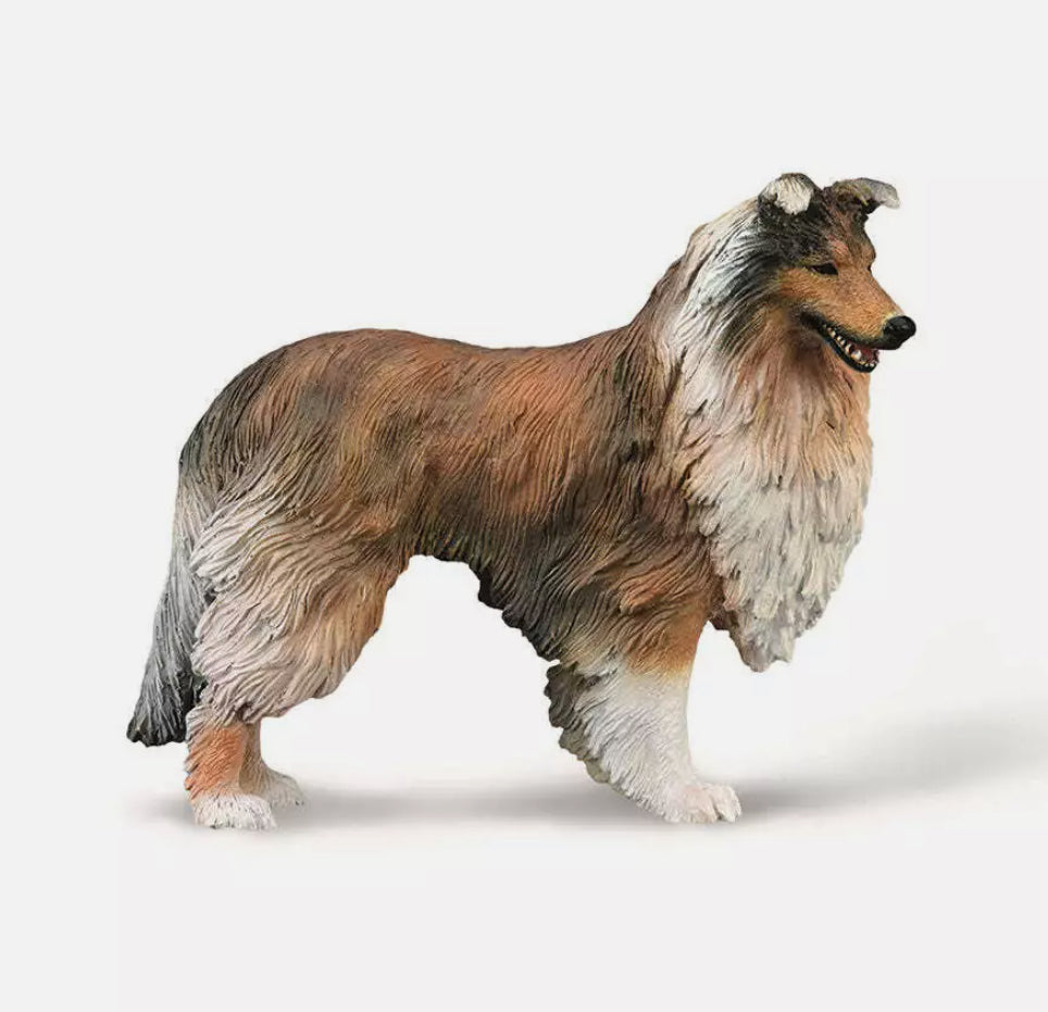 Rough Collie CollectA