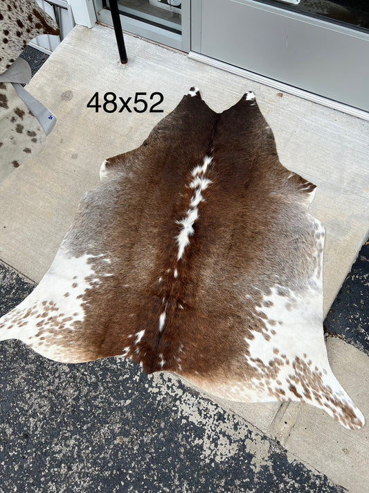 C Medium Size Cowhide Rug