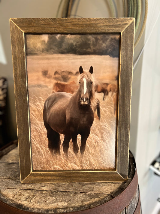 Wild Beauty Mustang Framed Picture