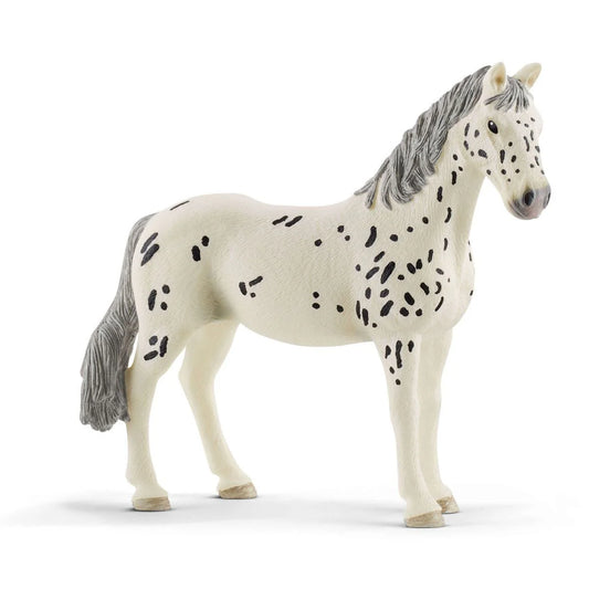 Knabstrupper Mare