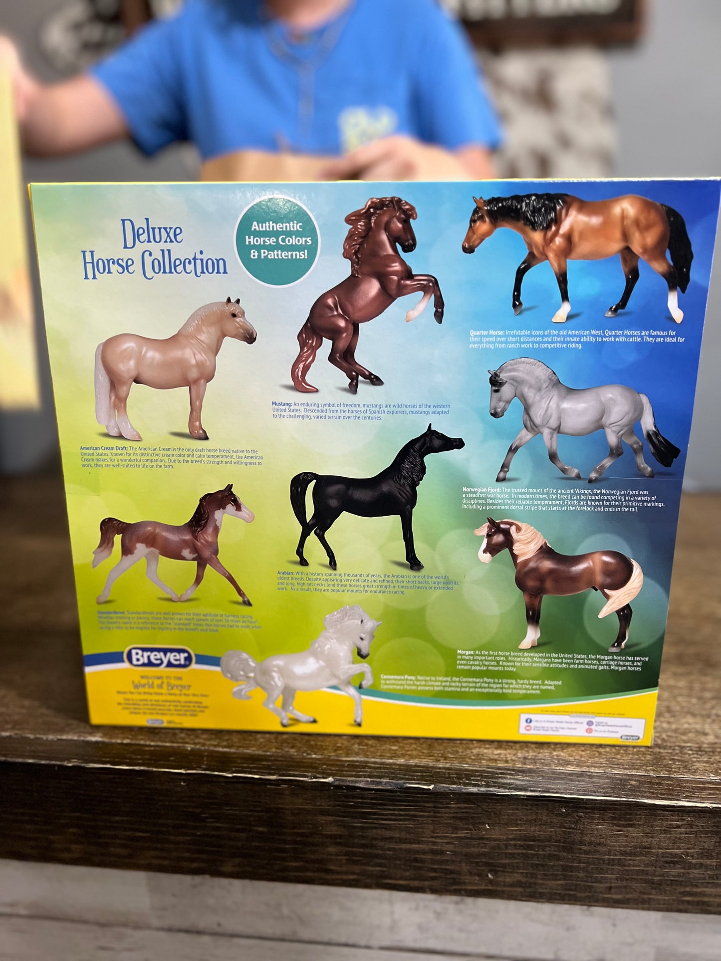 Deluxe Horse Collection