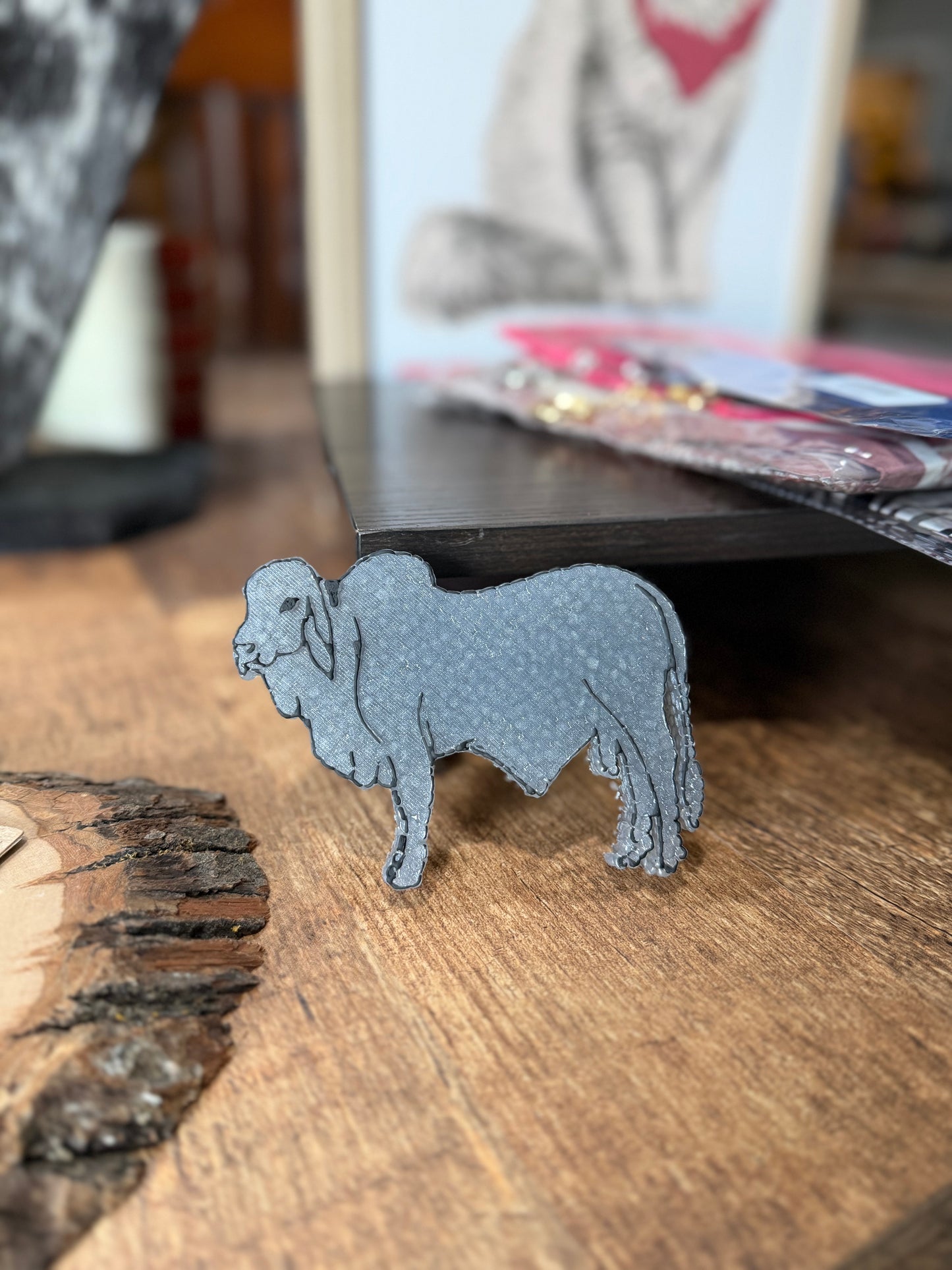 Brahman bull Freshie  on a wooden surface with a blurred background