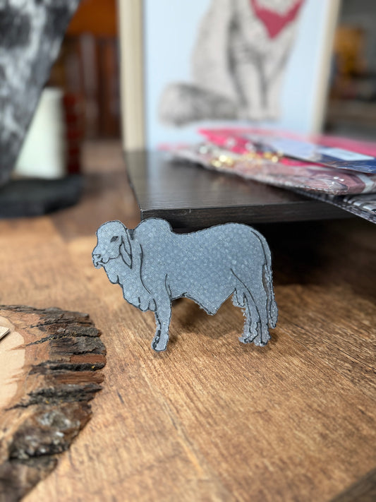 Brahman bull Freshie  on a wooden surface with a blurred background