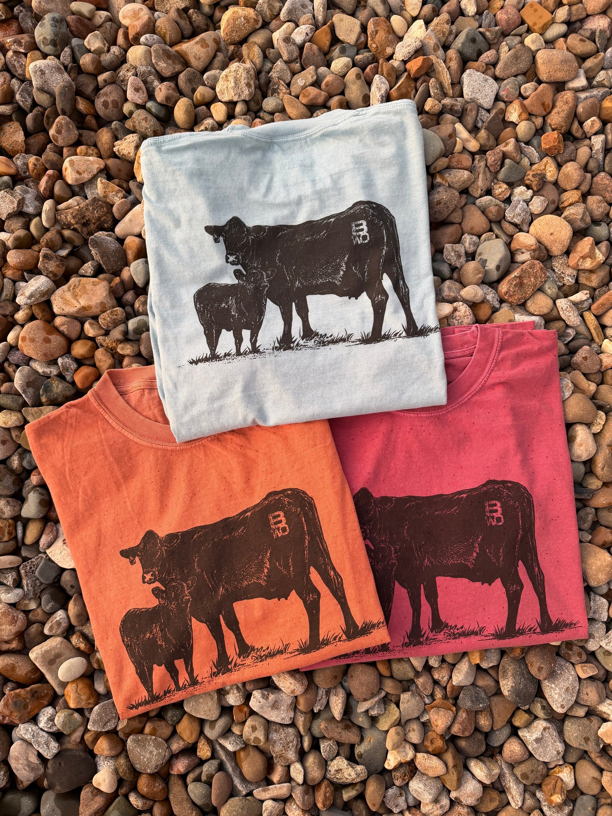 Three folded graphic T-shirts arranged on a bed of small brown pebbles. The top shirt is light blue with a black cow and calf silhouette; the bottom left is orange with a dark brown cow and calf silhouette; the bottom right is pink with a dark red cow and calf silhouette.