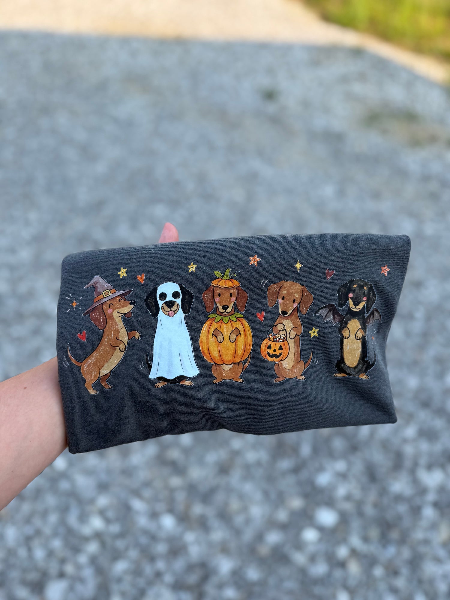 A hand holding a dark gray rectangular fabric pouch or sleeve with a colorful Halloween dachshund graphic, set against a blurred gravel background.