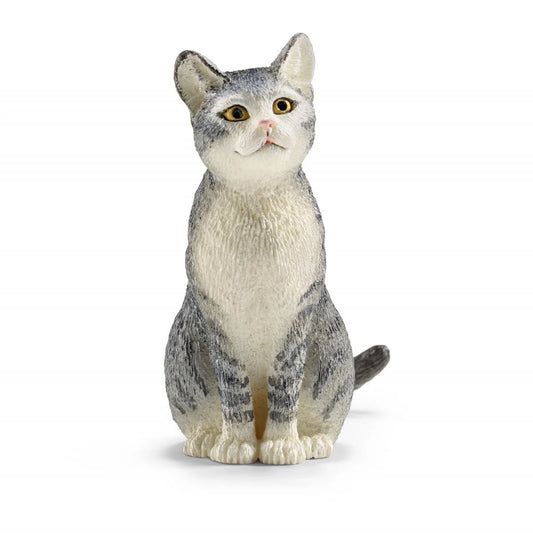 Gray Cat “Bonnie” Sitting
