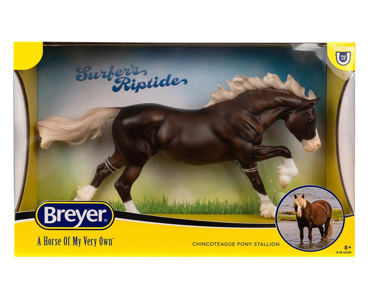 Surfer’s Riptide Chincoteague Pony