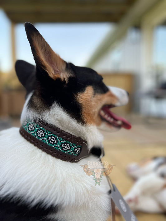 Freedom Trail Faux Beaded Dog Collar