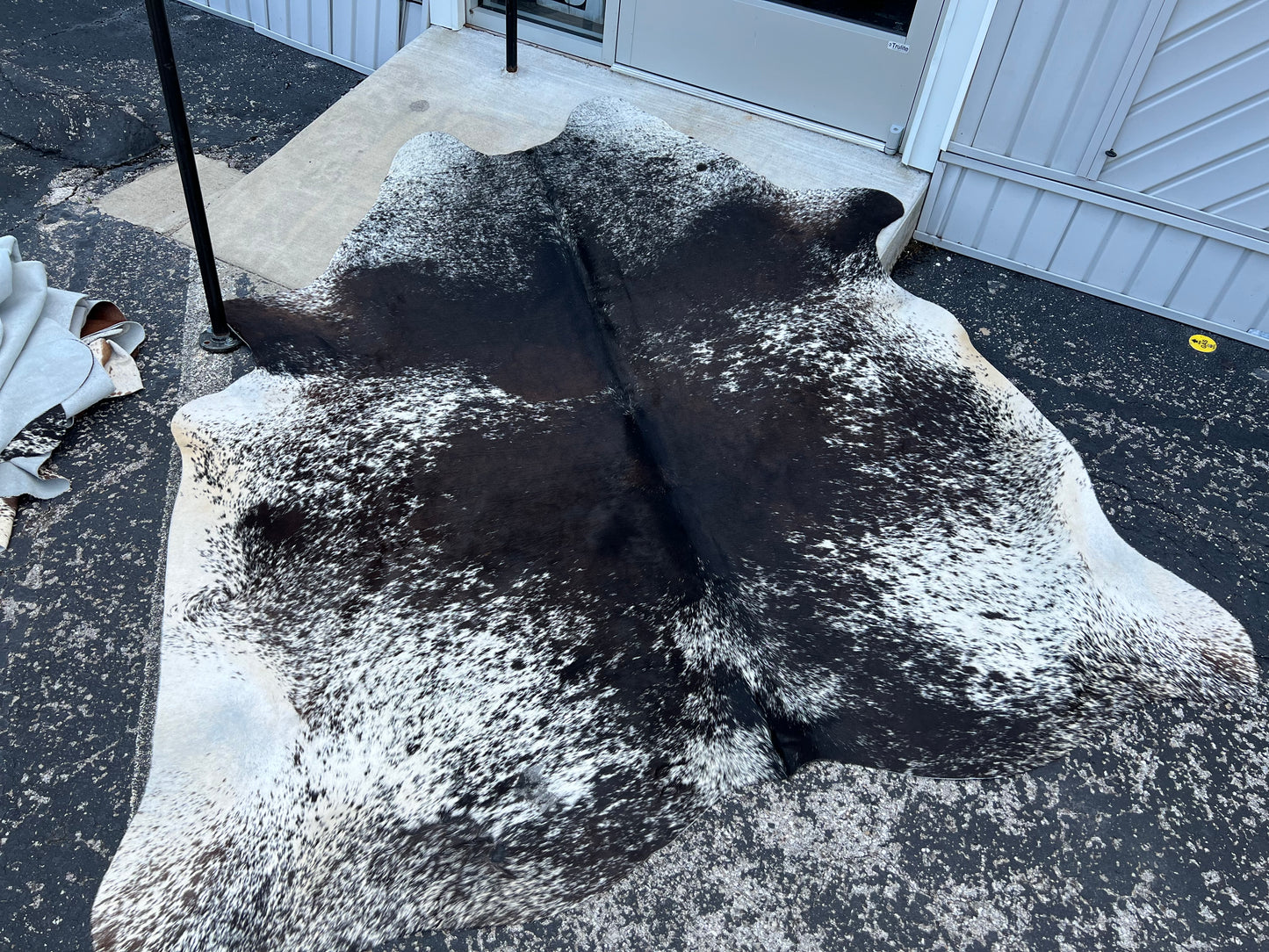 Exotic Salt & Pepper Jumbo Cowhide Rug