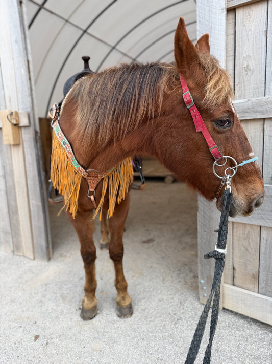 Fringe Steer Tooled Breast Collar