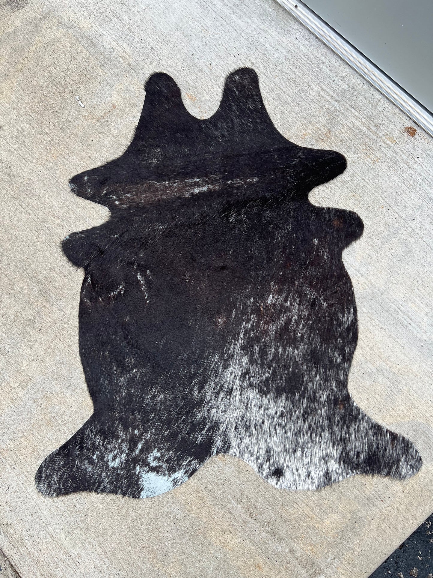 Calf Hide D
