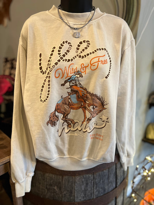 Yee Haw Mineral Graphic Pullover