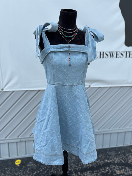 The Meg Moroney Denim Dress