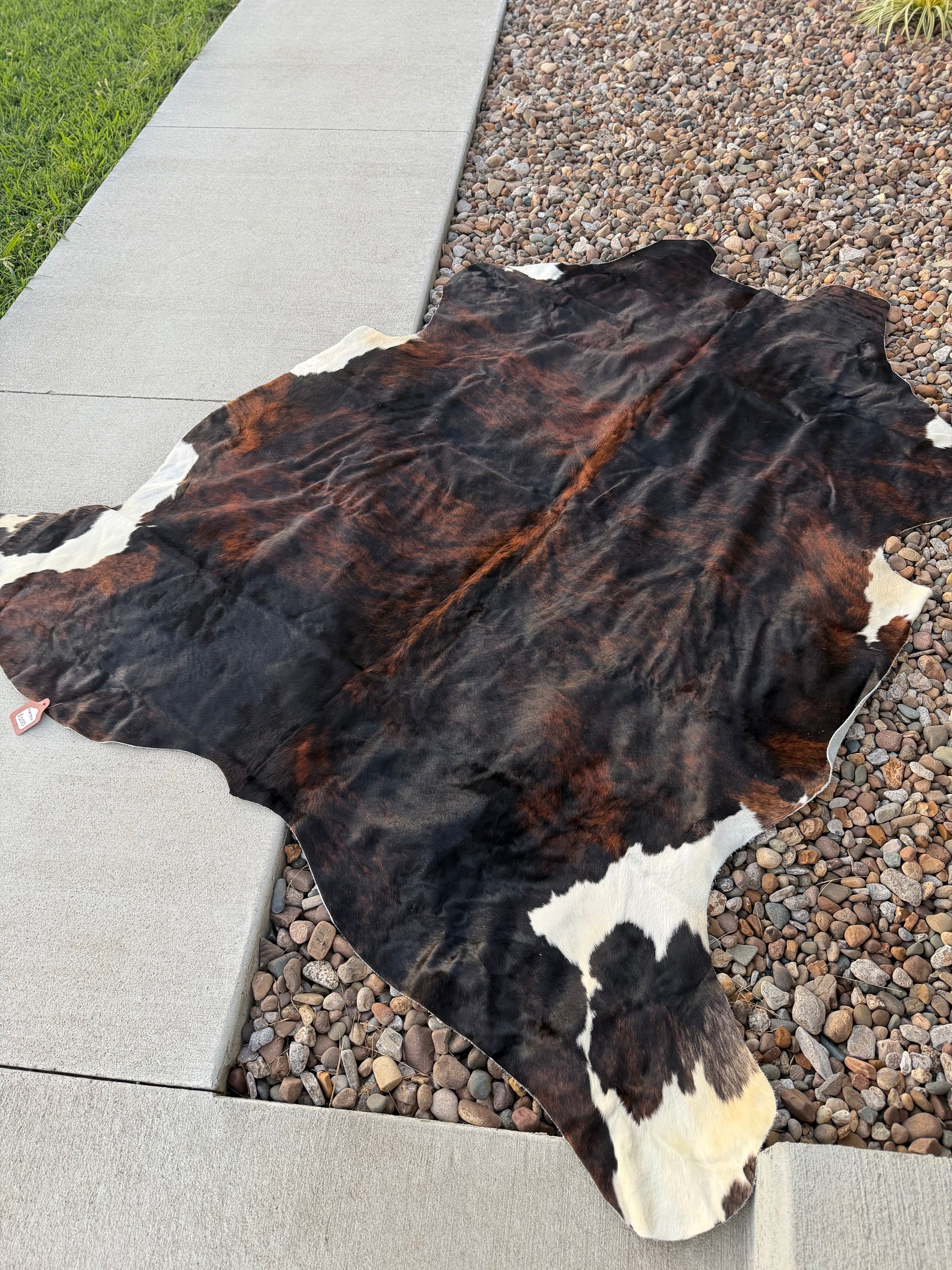 A natural cowhide rug with a black, brown, and white spotted pattern, laid out on a concrete patio next to gravel.