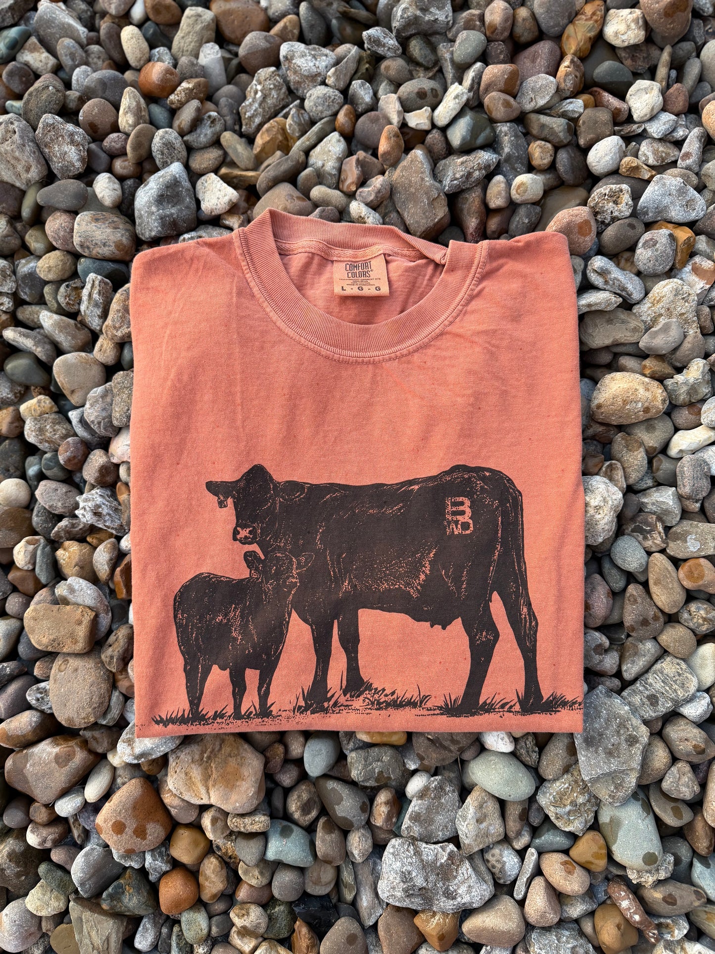 A folded peach-colored t-shirt with a black graphic of a cow and calf, laid flat on a bed of small gray and brown pebbles. The shirt features a small red 'BB' logo on the back of the cow graphic.