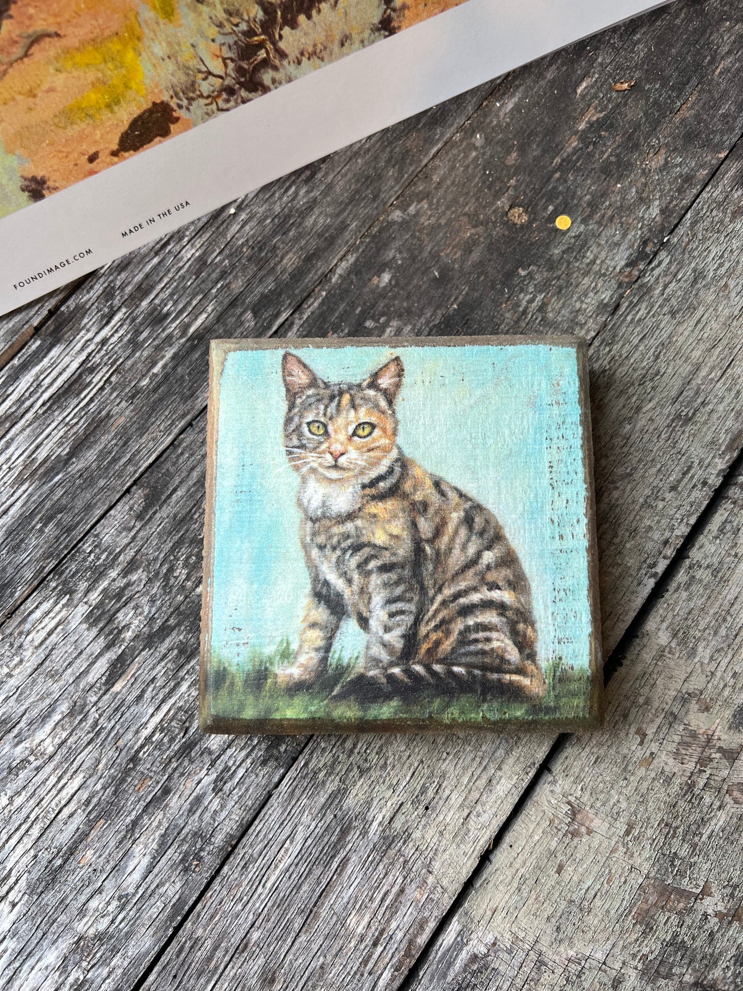 Nala Tabby Cat Block Sign