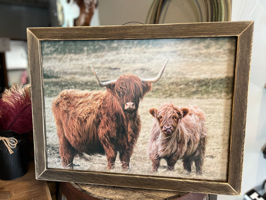 Highland Cow Watch Framed Picture