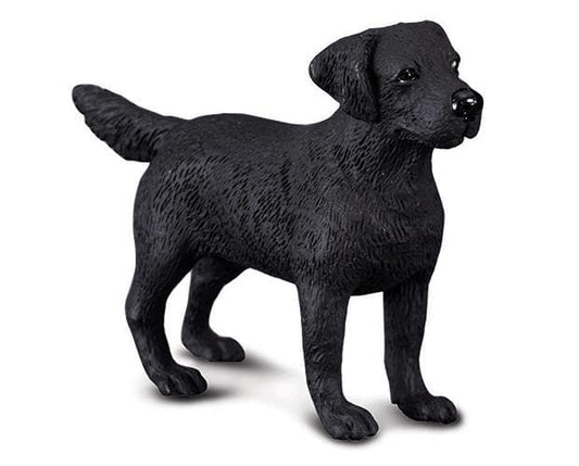 Black Labrador CollectA