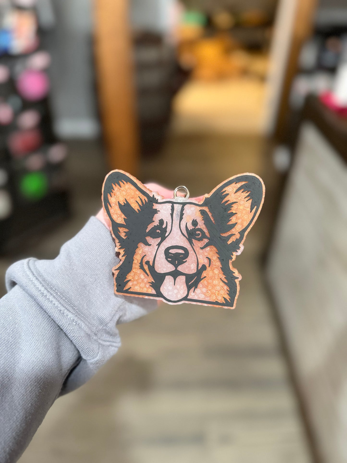 Corgi Freshie