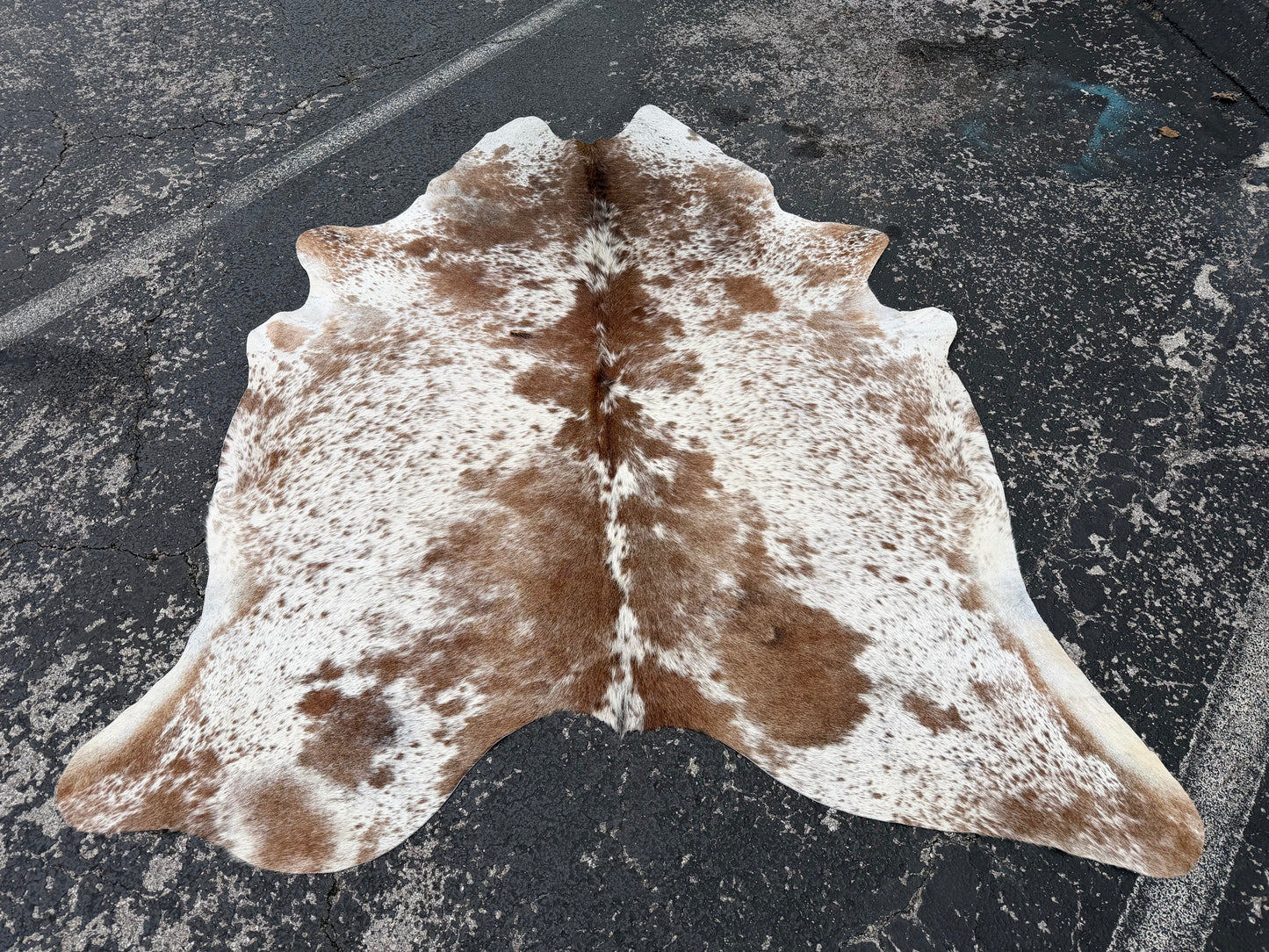 Appalachian Cowhide Salt & Pepper Rug