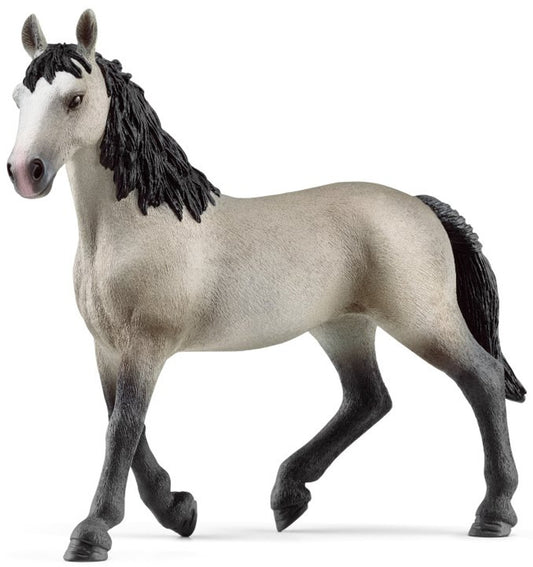Cheval De Selle Francais Mare