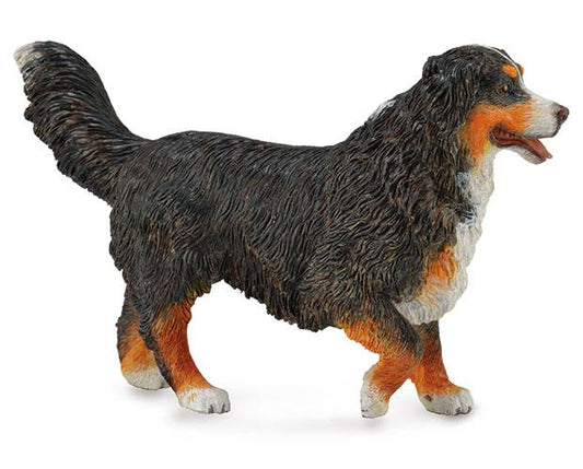 Bernese Mountian Dog CollectA