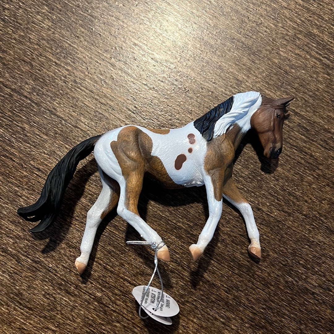 Pinto Mare Collecta