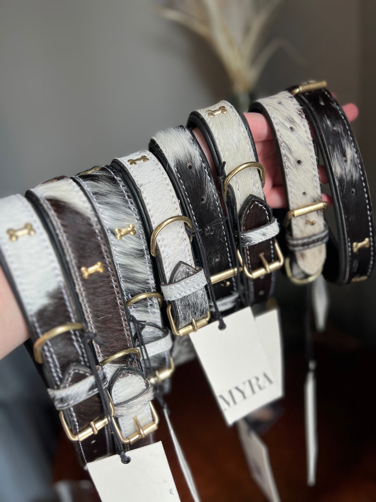 Cowhide Myra Dog Collars